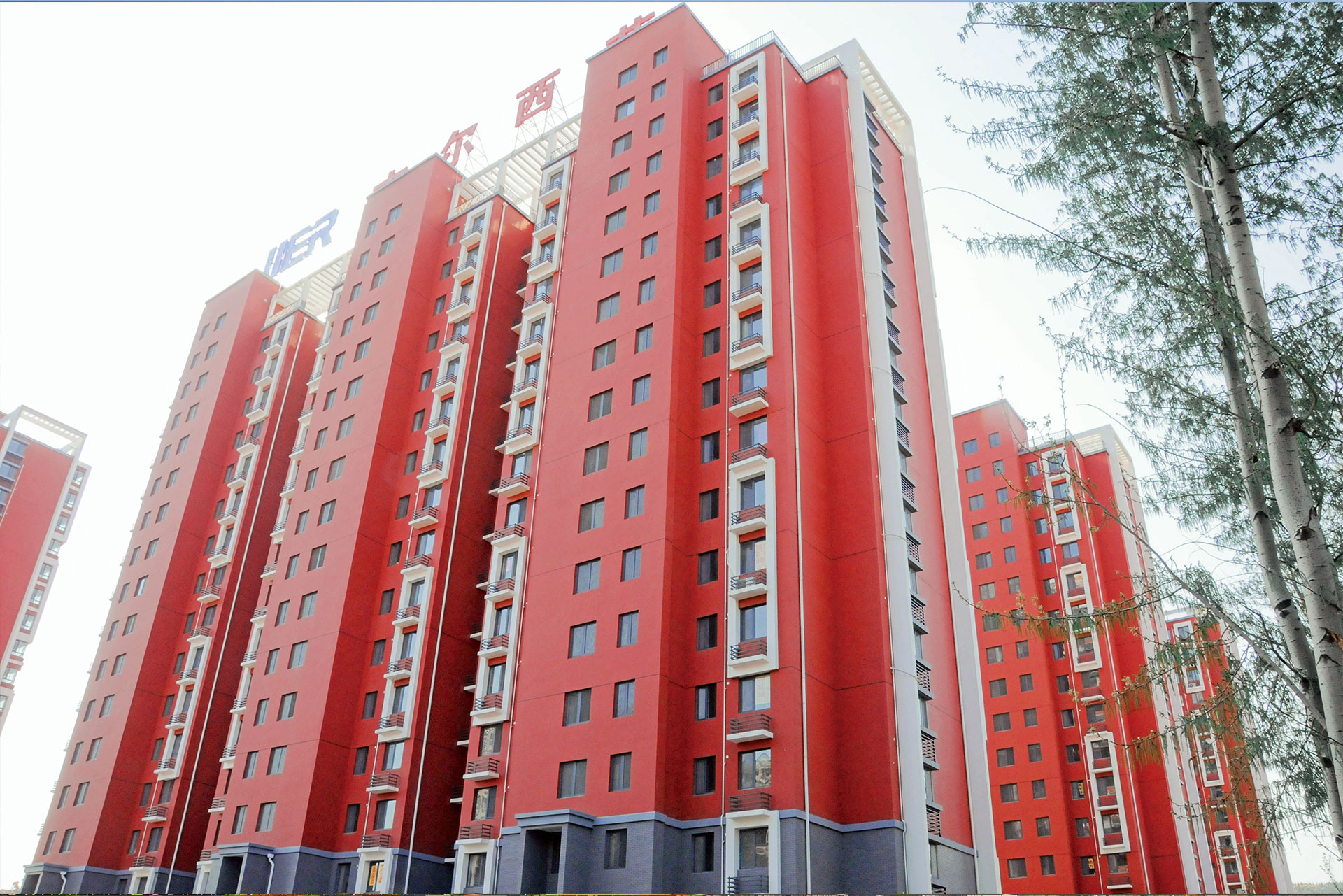 1515379140815711.jpg 1515481302763451.jpg